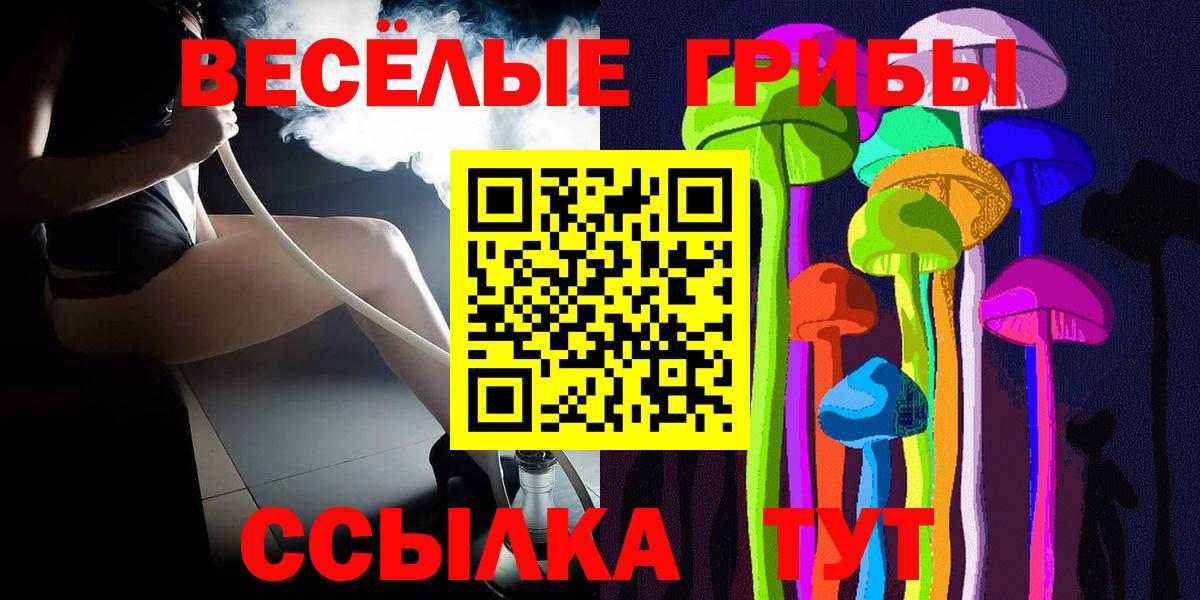 Псилоцибиновые грибы Psilocybine cubensis Волжск