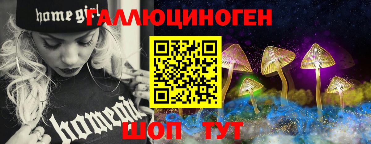 Волжск  Галлюциногенные грибы GOLDEN TEACHER  Вход с VPN 